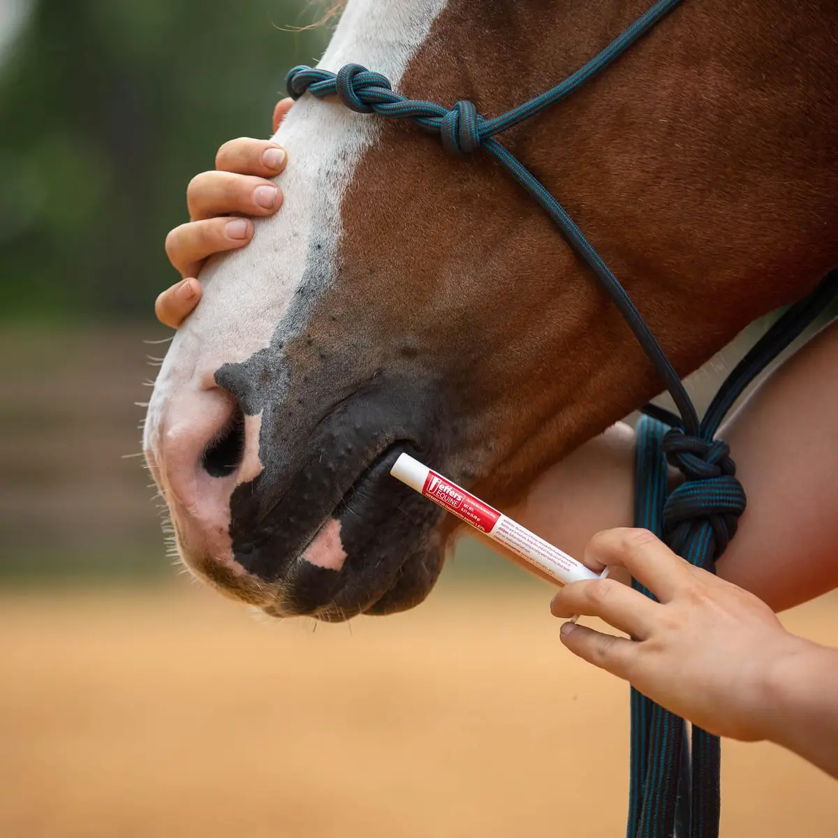 Jeffers Ivermectin Dewormer for Horses 6 Pack | Apple Flavored Broad Spectrum Paste - view 7