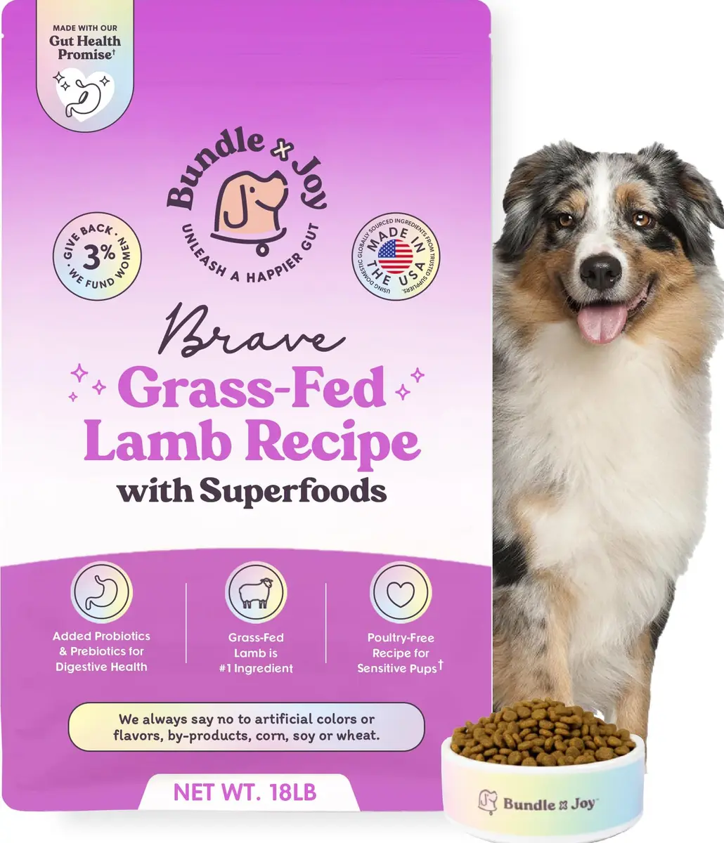 Bundle x Joy Lamb Probiotic Dry Dog Food 18lb | Grain-Free, Natural, Supports Digestion - main product image