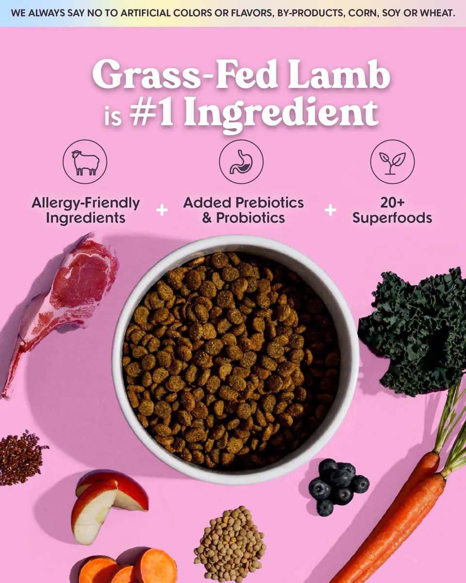 Bundle x Joy Lamb Probiotic Dry Dog Food 18lb | Grain-Free, Natural, Supports Digestion - view 2