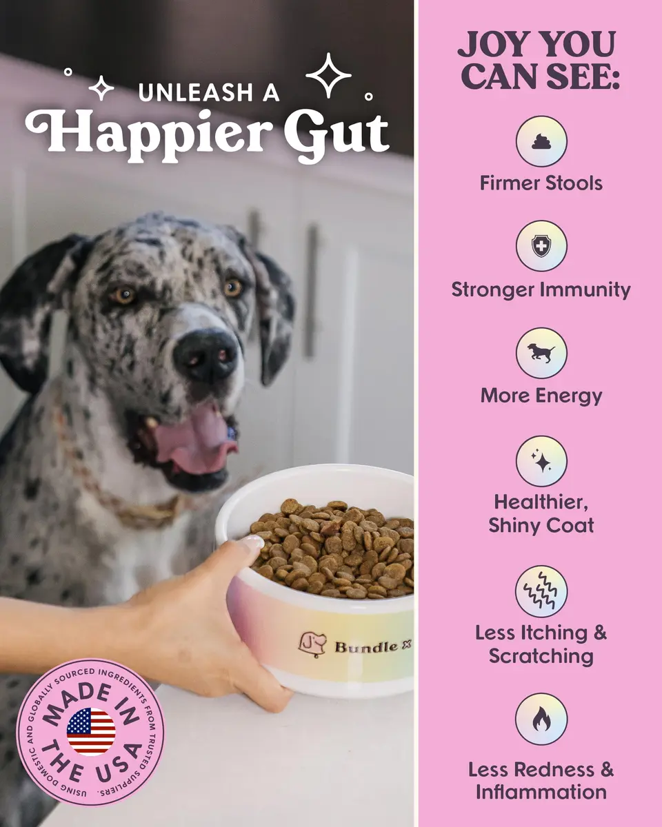 Bundle x Joy Lamb Probiotic Dry Dog Food 18lb | Grain-Free, Natural, Supports Digestion - view 4