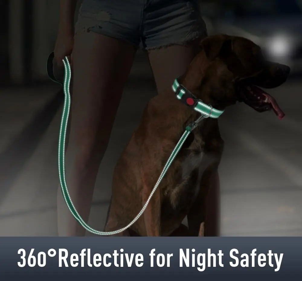 Erbine Reflective Dog Collar with AirTag Holder for Small Dogs, Teal (9"-15") - view 4