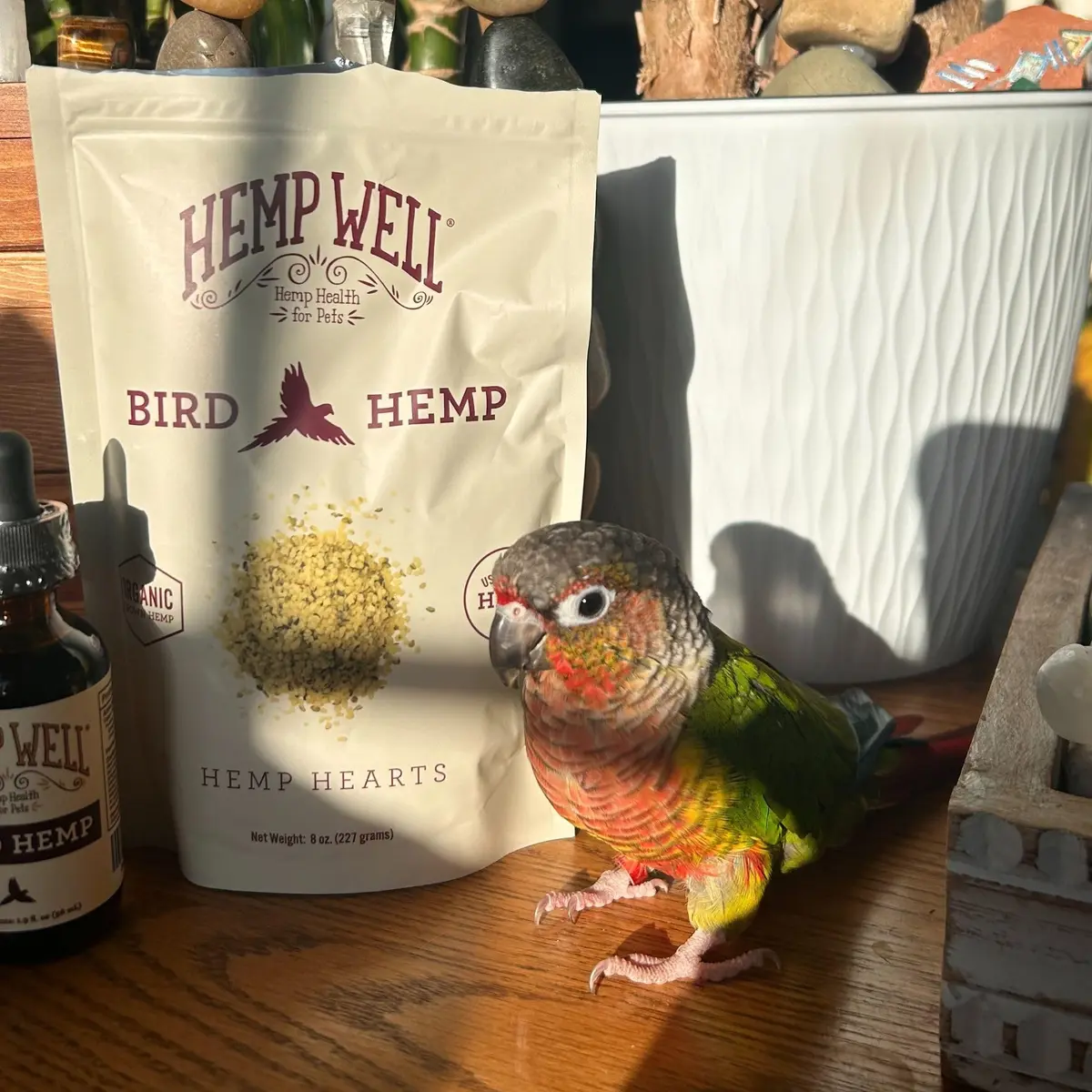 Hemp Well Organic Hemp Hearts for Birds 8 oz (227 g) | Immune & Relaxation Support - view 7