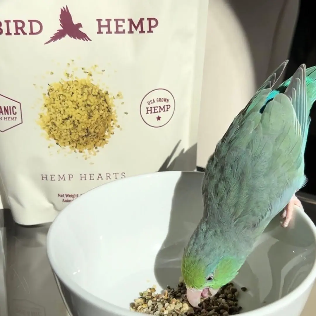 Hemp Well Organic Hemp Hearts for Birds 8 oz (227 g) | Immune & Relaxation Support - view 4