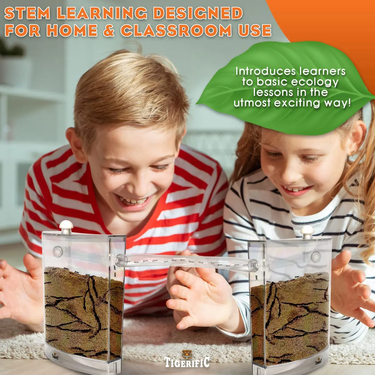 Tigerific Ant Farm for Live Ants Habitat Set 780g (1.72 lb) | Watch Ants Dig Tunnels & Carry Sand - view 7