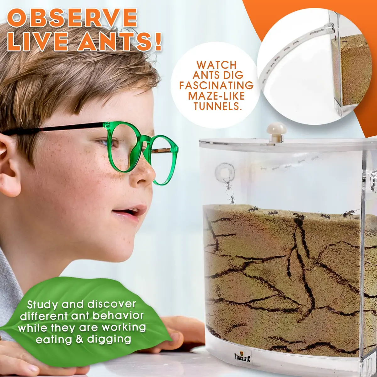 Tigerific Ant Farm for Live Ants Habitat Set 780g (1.72 lb) | Watch Ants Dig Tunnels & Carry Sand - view 2