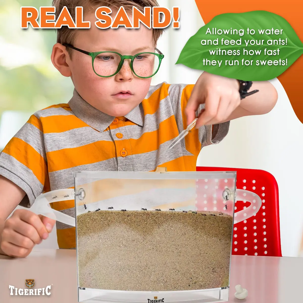 Tigerific Ant Farm for Live Ants Habitat Set 780g (1.72 lb) | Watch Ants Dig Tunnels & Carry Sand - view 3