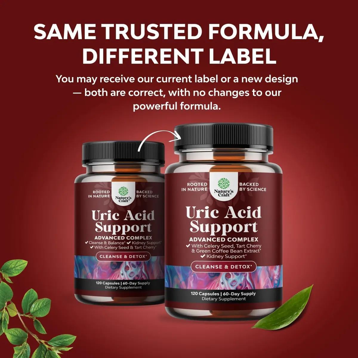 Natures Craft Uric Acid Support with Green Coffee Beans Extract | Kidney & Wellness Support (120 Capsules) - view 2