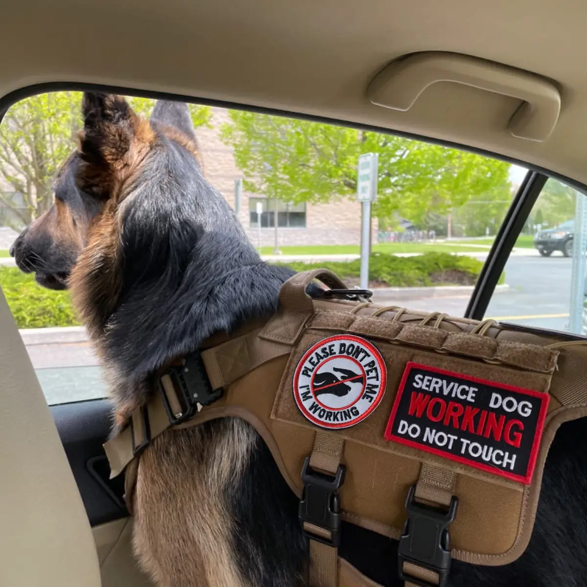 J.CARP Service Dog K9 Badge Patch 10 pcs | No Touch Embroidered Patches for Harness - view 4