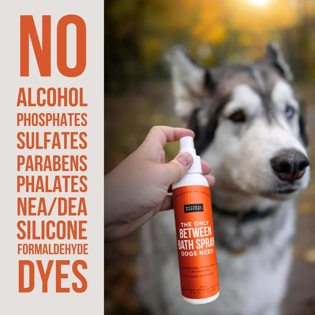 Natural Rapport Dog Cologne, Spiced Apple & Pumpkin Spray, 8 oz | Deodorizing & Odor Neutralizer for Dogs - view 3