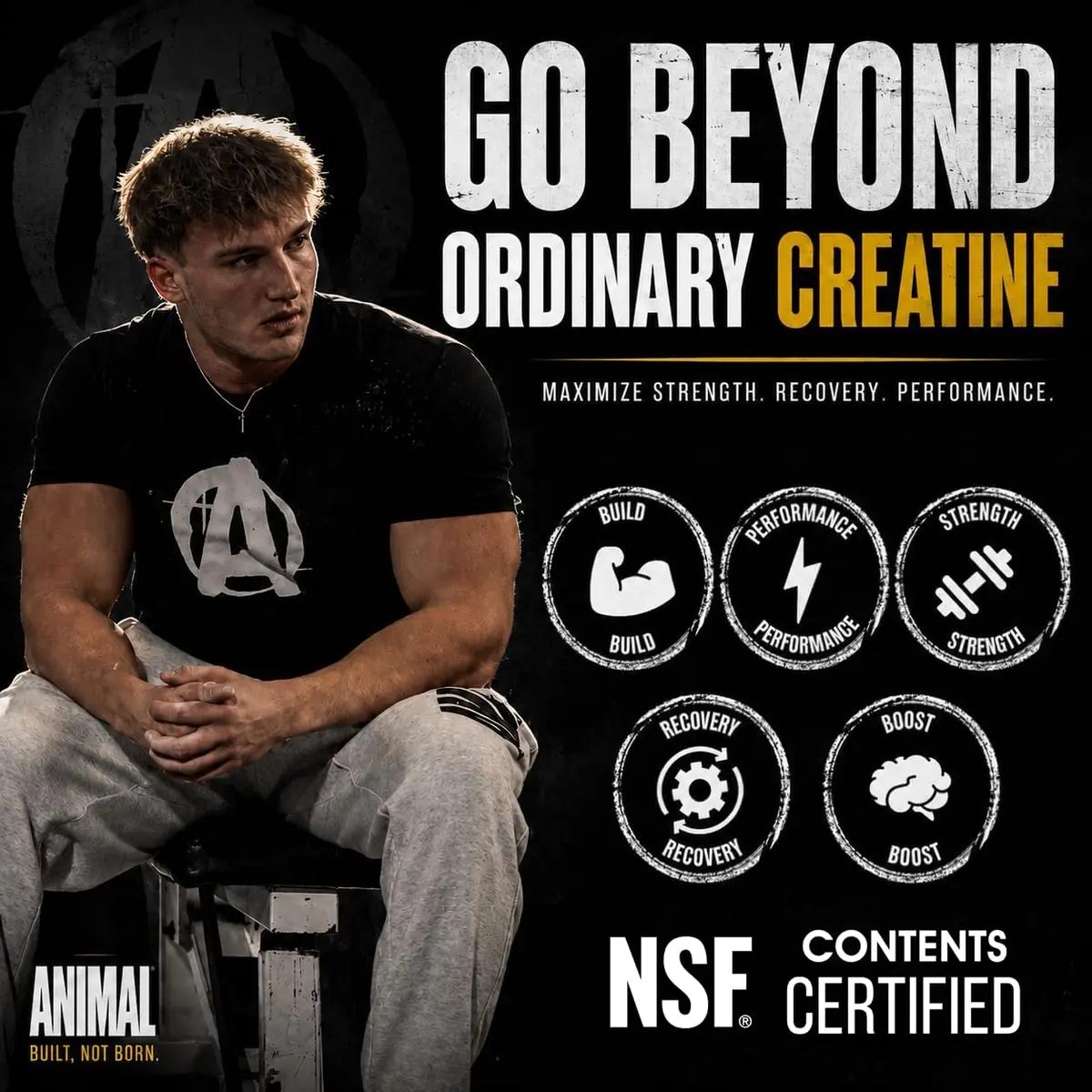 Animal Creatine Monohydrate Powder 1000g | Unflavored, Max Performance & Recovery - view 3