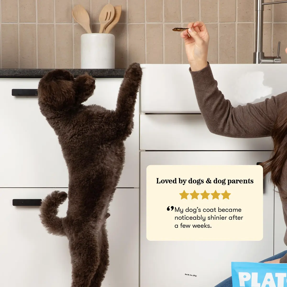 PLATO Single Ingredient Baltic Herring Dog Treats, 3 oz | Omega-Rich, Air-Dried Fish for Skin & Coat Support - view 5
