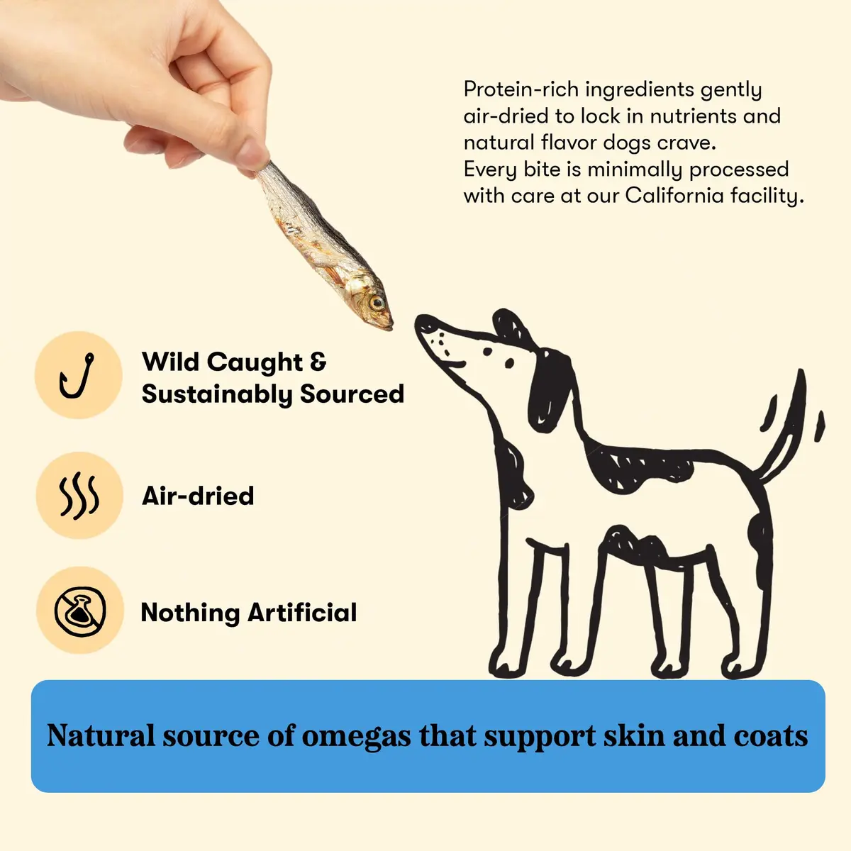 PLATO Single Ingredient Baltic Herring Dog Treats, 3 oz | Omega-Rich, Air-Dried Fish for Skin & Coat Support - view 3