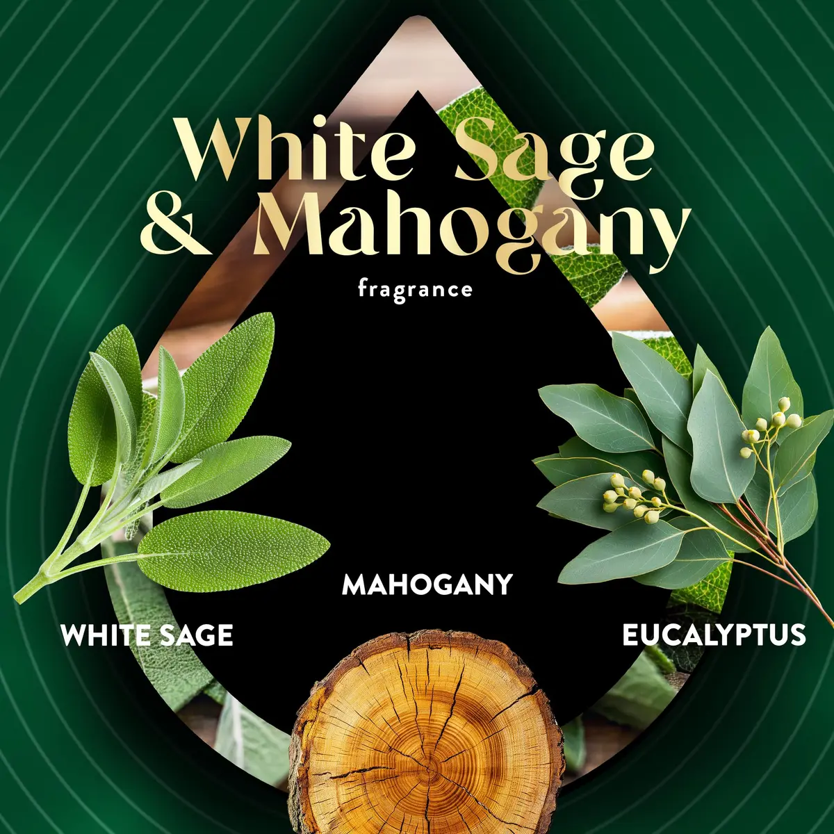 Air Wick Plug In Refill White Sage & Mahogany Essential Oil 5 Count | Continuous Fragrance Diffusion - view 5