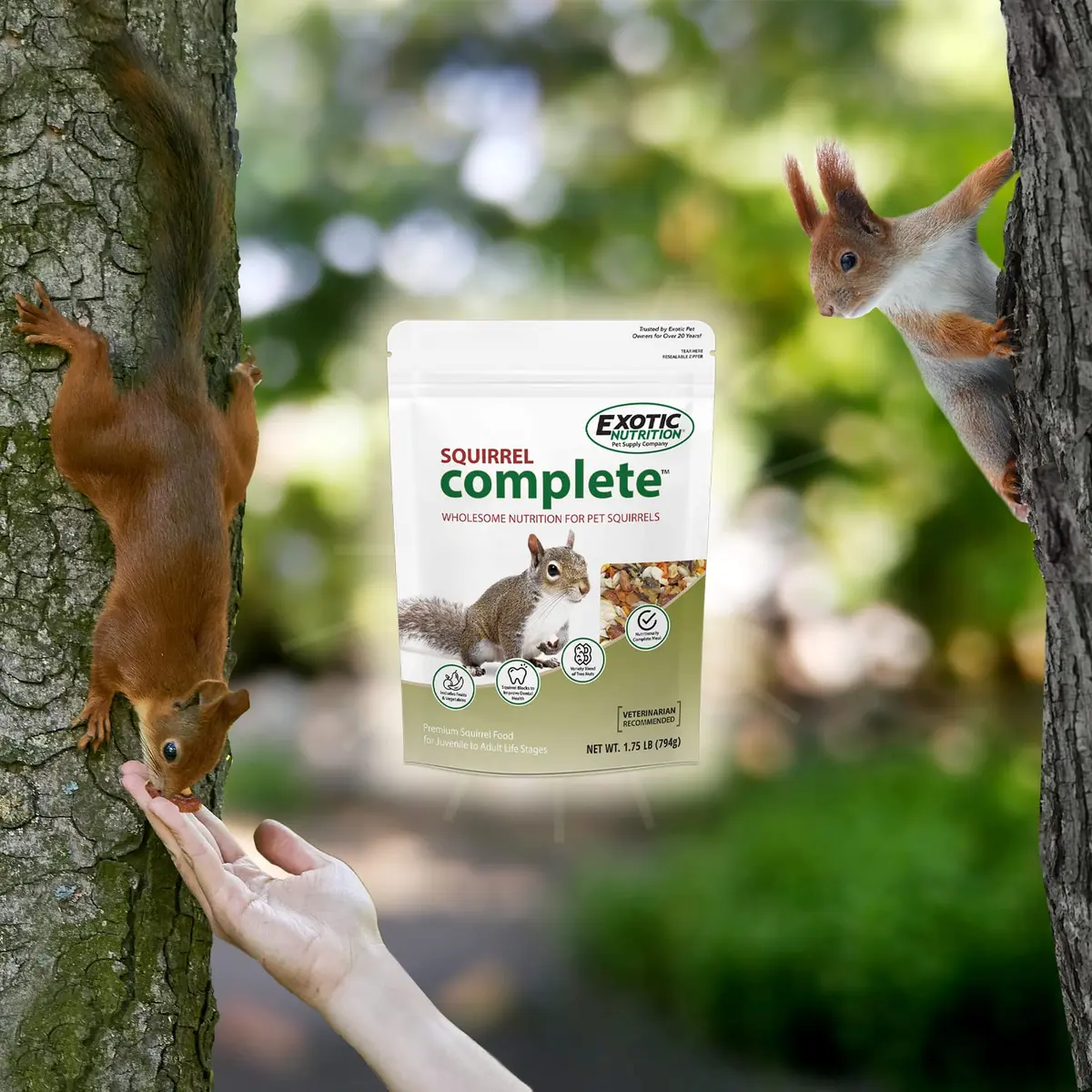 Exotic Nutrition Squirrel Complete 1.81 kg (4 lb) | Natural Pet Food for Squirrels - view 6