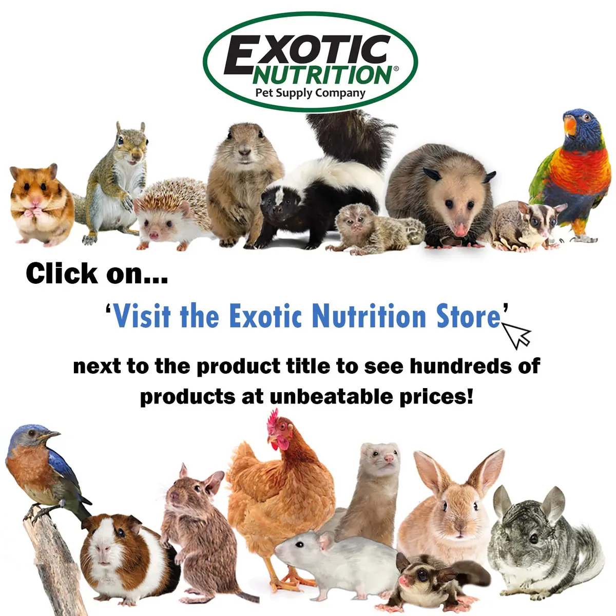 Exotic Nutrition Squirrel Complete 1.81 kg (4 lb) | Natural Pet Food for Squirrels - view 8