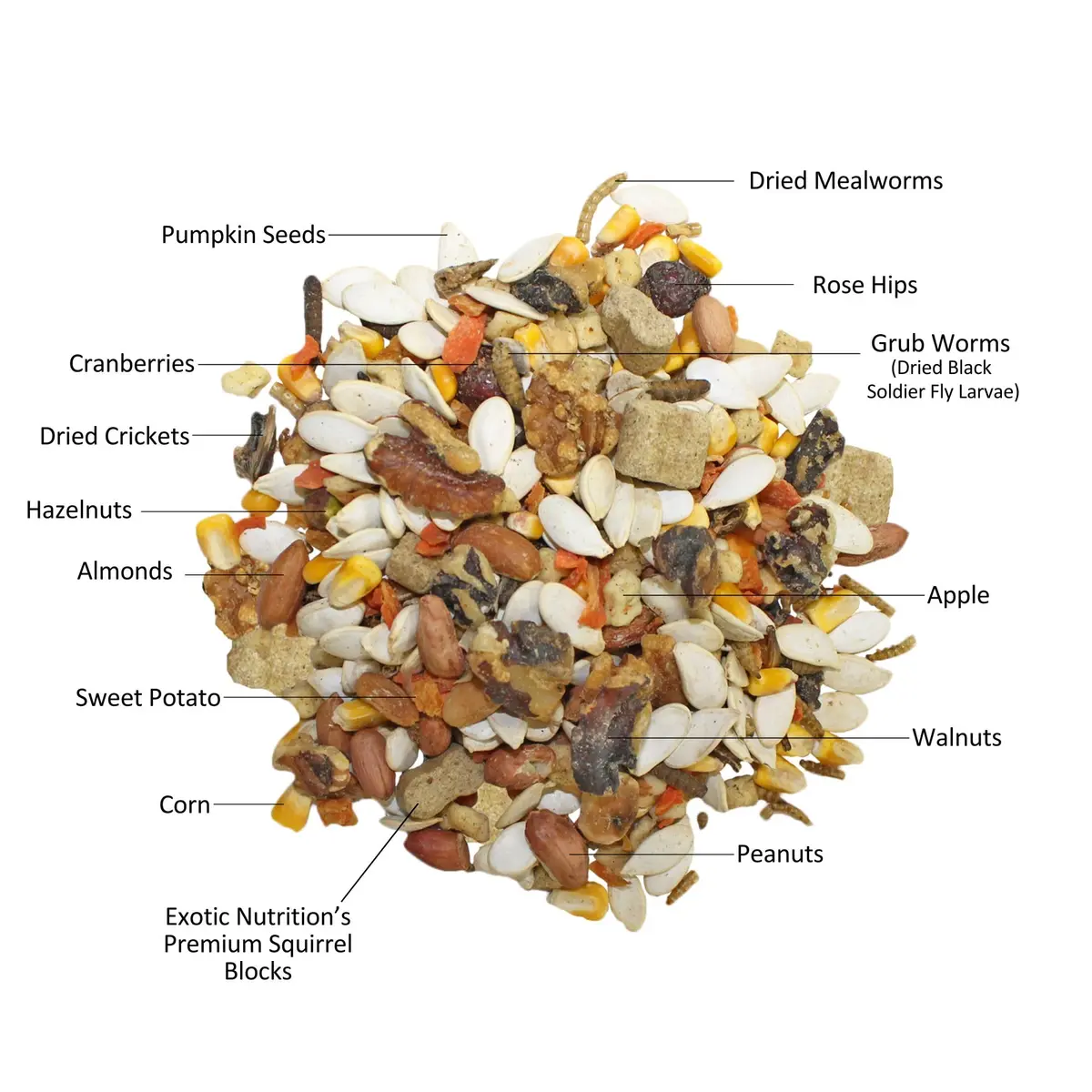 Exotic Nutrition Squirrel Complete 1.81 kg (4 lb) | Natural Pet Food for Squirrels - view 2