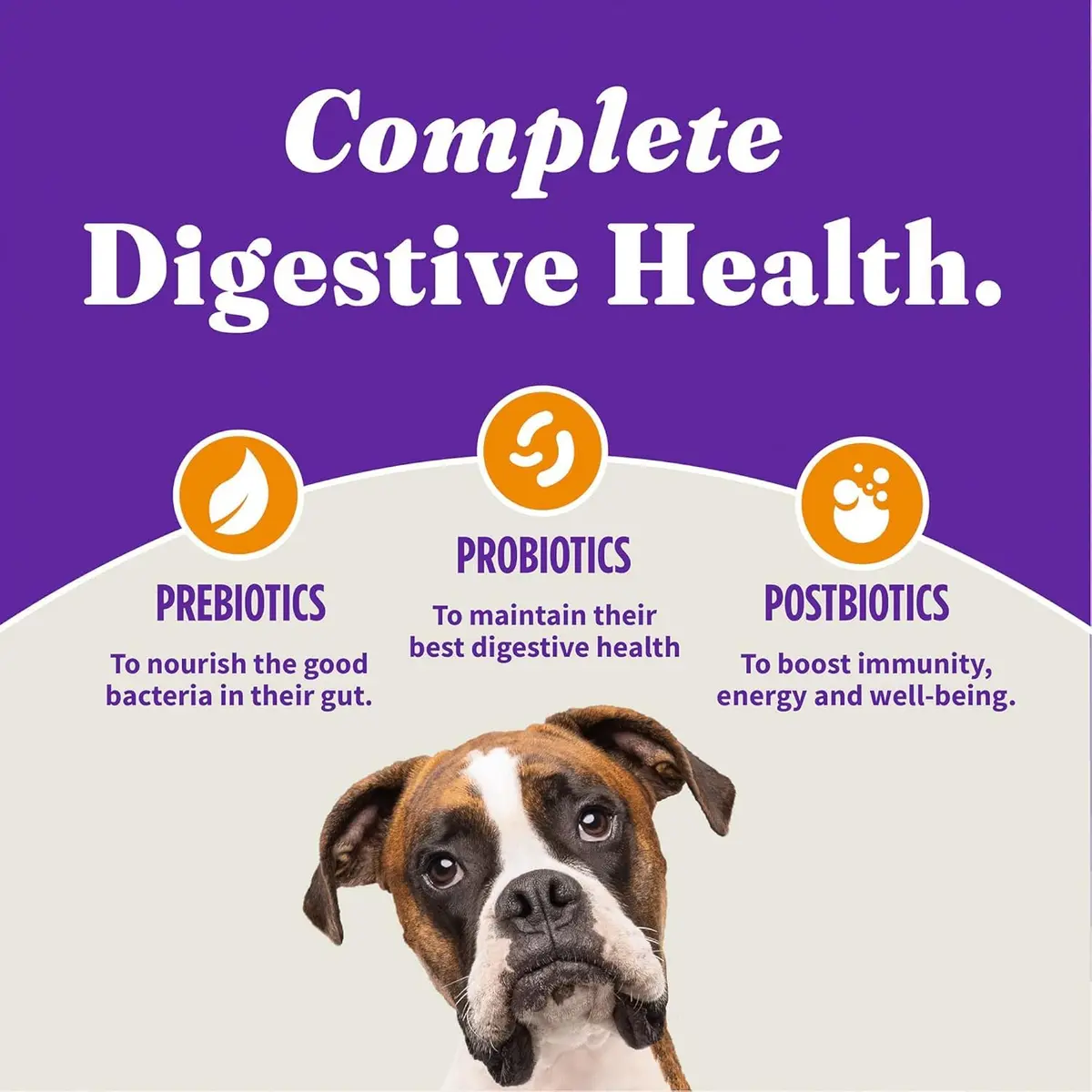 Halo Holistic Small Breed Dog Food, Cage-Free Chicken & Brown Rice, 3.5 lb | Supports Digestive & Skin Health - view 5