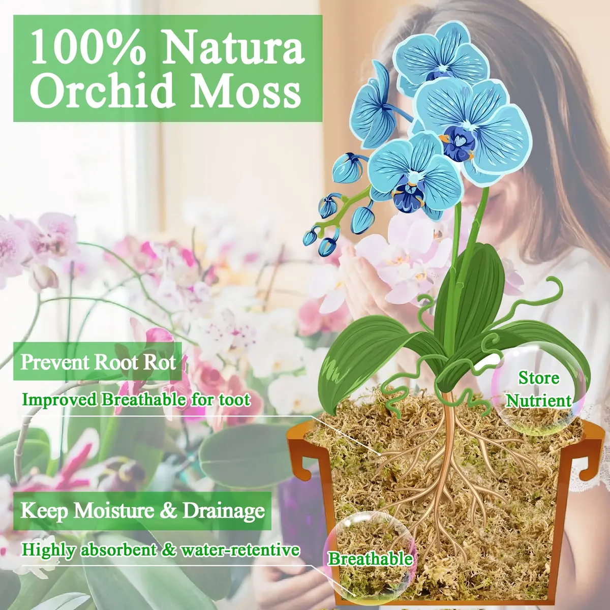 Legigo 1.3LB Sphagnum Moss for Plants | Moisture Retention & Root Growth Support - view 3