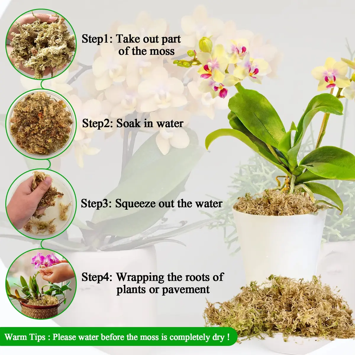 Legigo 1.3LB Sphagnum Moss for Plants | Moisture Retention & Root Growth Support - view 4