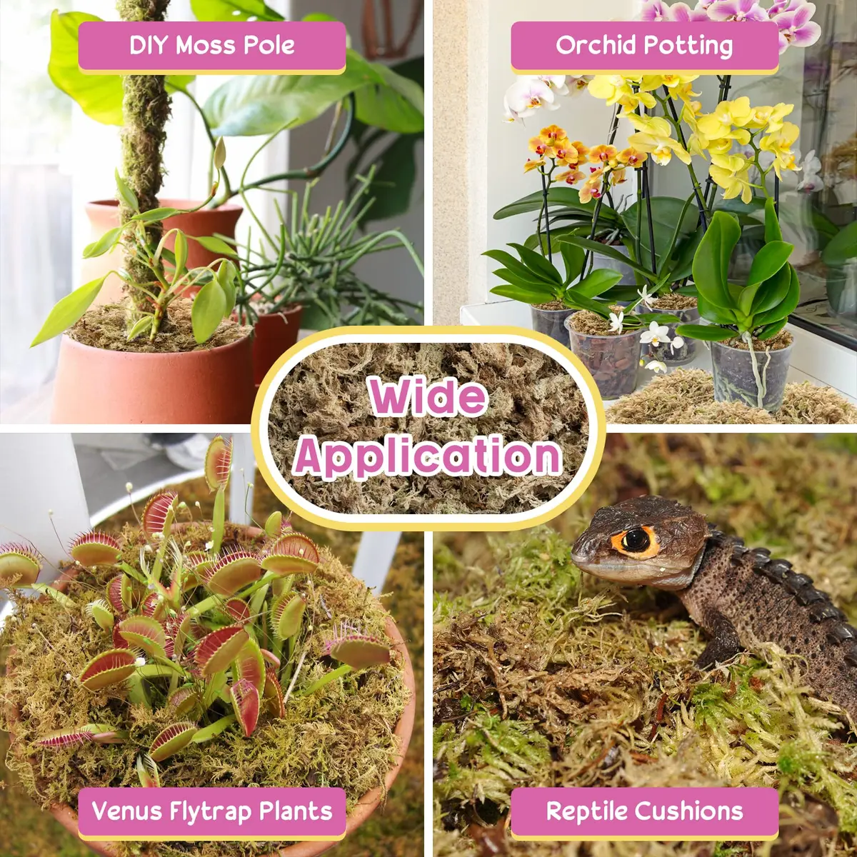 Legigo 14oz Sphagnum Moss for Plants | Natural Long Fibers Orchid Moss, 16QT - view 5