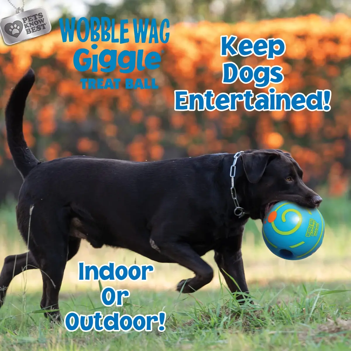 Wobble Wag Giggle Treat Ball | Interactive Dog Toy & Treat Dispenser, 5.5" | Giggling Sounds for Dogs - view 6