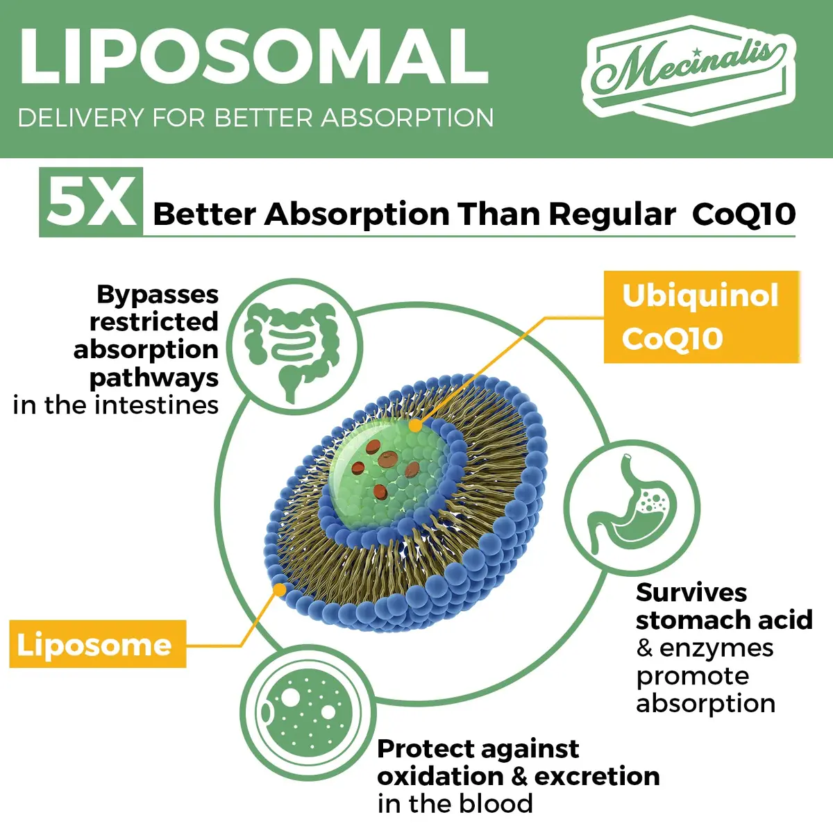 Mecinalis 1000mg Liposomal CoQ10 Softgels | Better Absorption CoQ10 Ubiquinol Supplement | Heart Function & Energy Production | Active Antioxidant Form of Vegan Coenzyme Q10 | Non-GMO | 120 Softgels - view 5