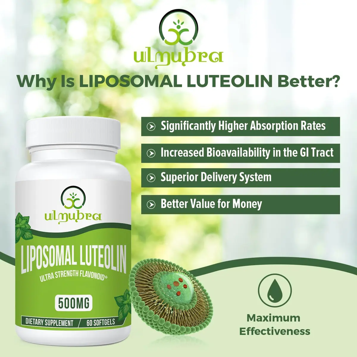 Ulmubra Liposomal Luteolin 500MG | Maximum Absorption, Potent Flavonoid, 60 Softgels, Non-GMO, Gluten Free - view 2