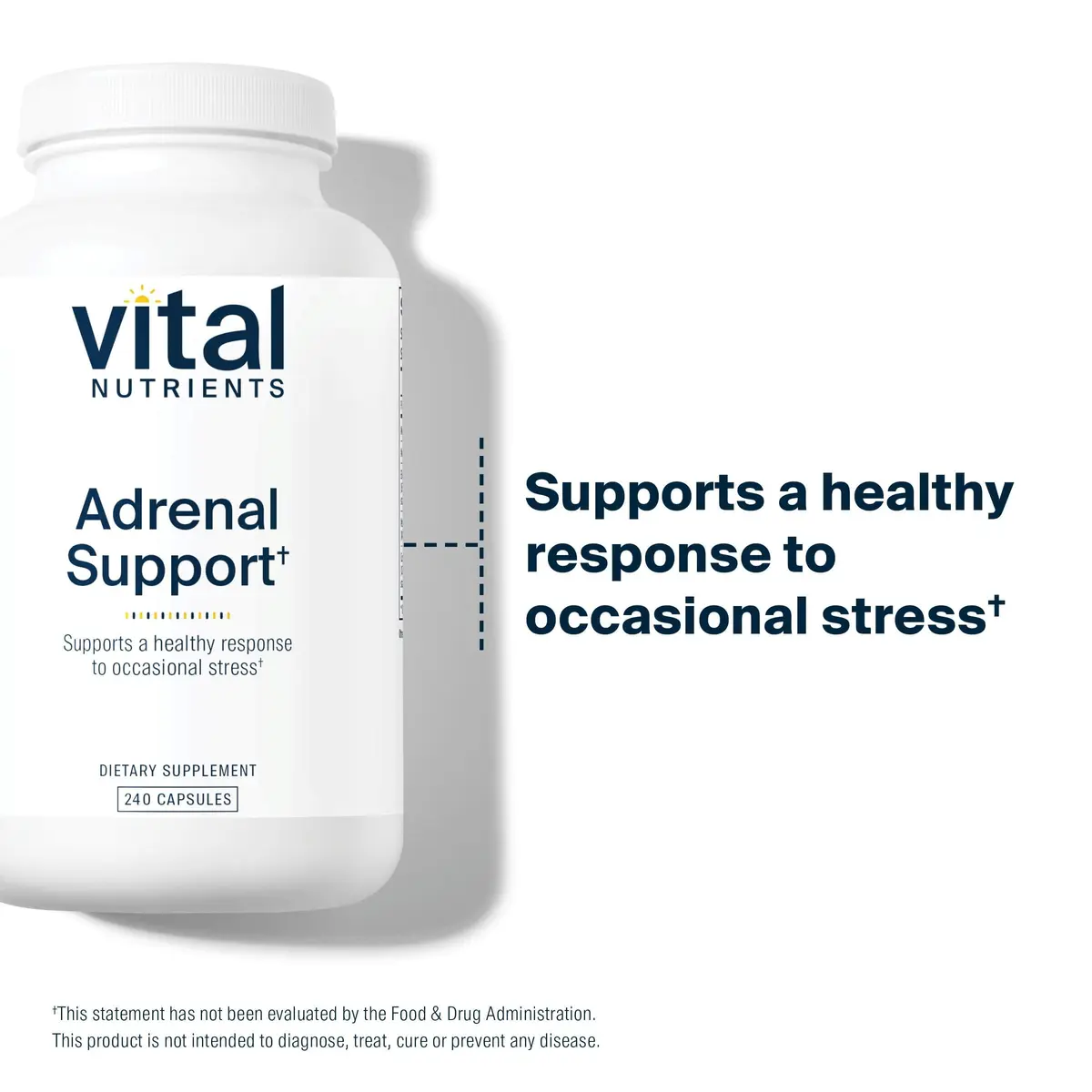 Vital Nutrients Adrenal Support for Gland Function, 240 Capsules | Supports Stress & Cortisol Balance - view 3