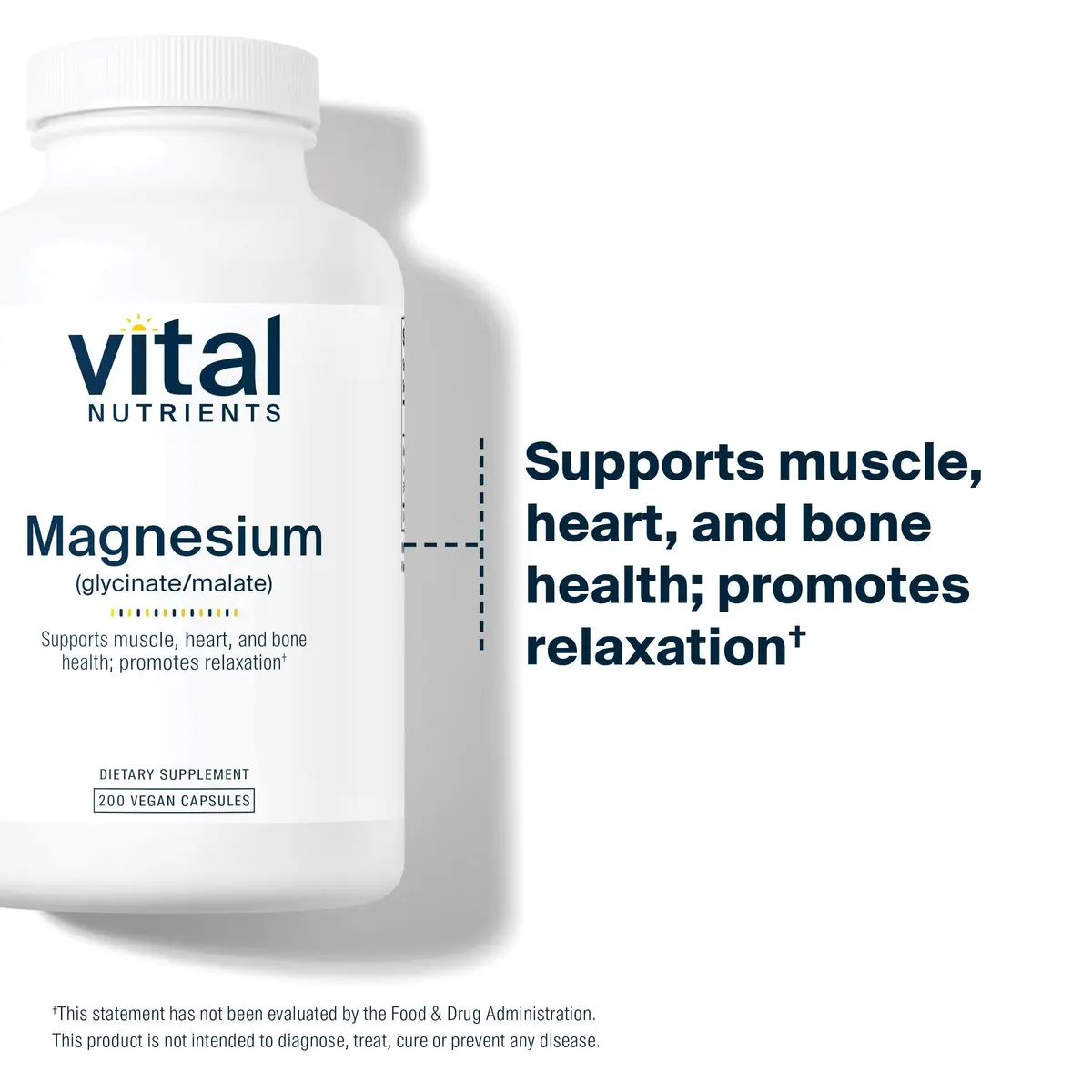 Vital Nutrients Magnesium Glycinate + Malate 240mg | Supports Sleep & Energy (120 capsules) - view 3
