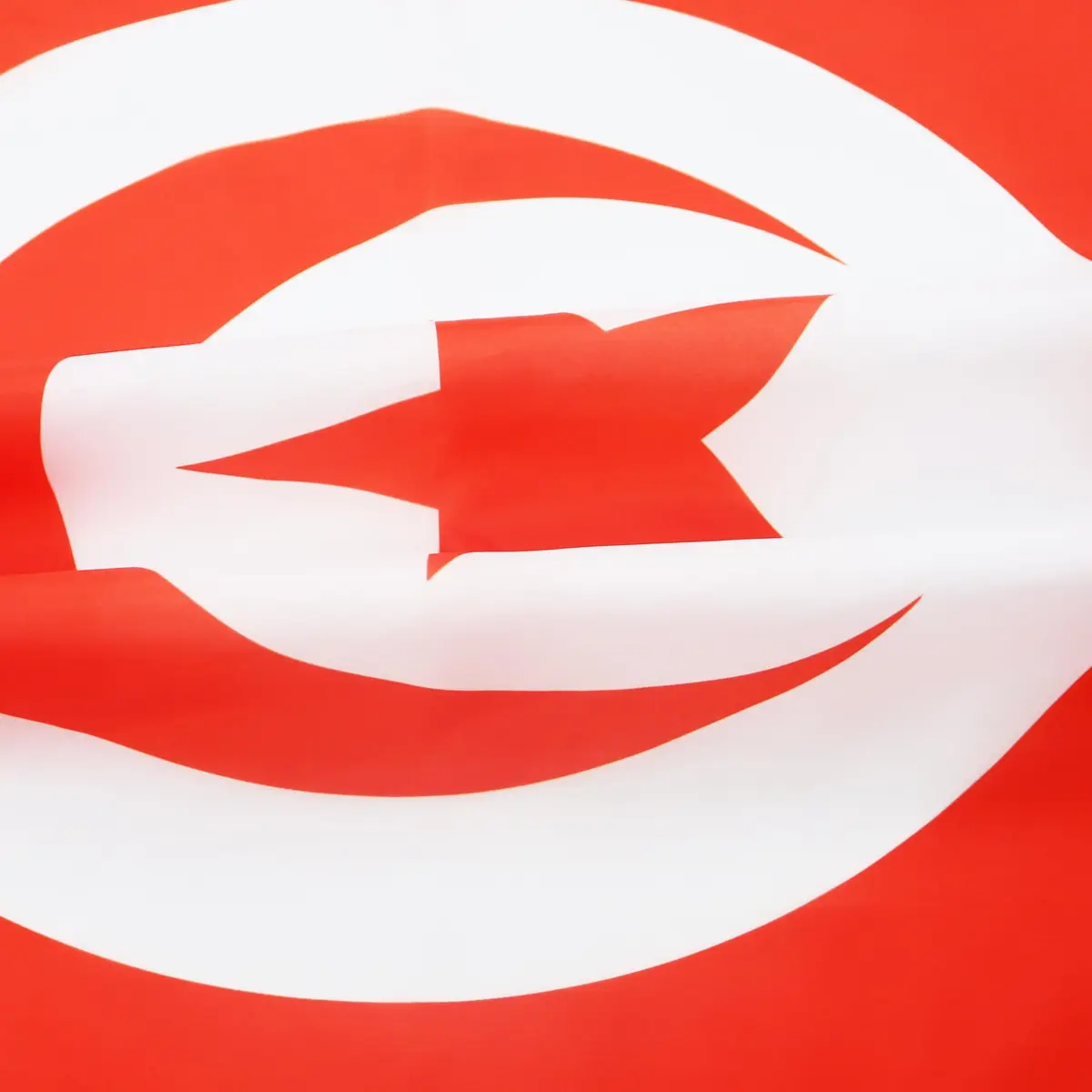 AZ FLAG Tunisia Flag 2x3 ft | Patriotic Polyester Flag with Grommets for Indoor Use - view 3
