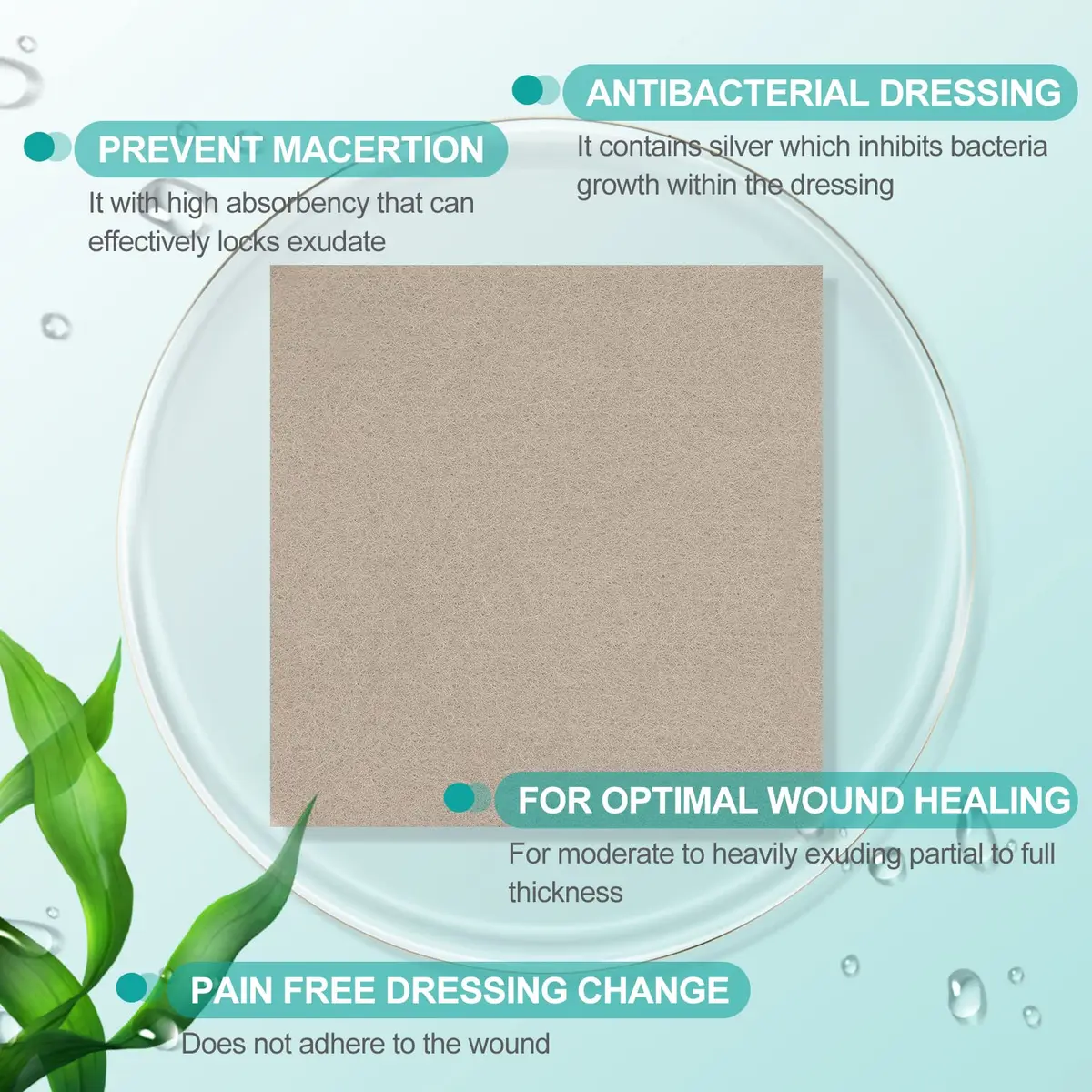 Dimora Silver-Infused Alginate Wound Dressing Pads 4'' x 4'' | Highly Absorbent & Non-Stick for Indian Wounds - view 3