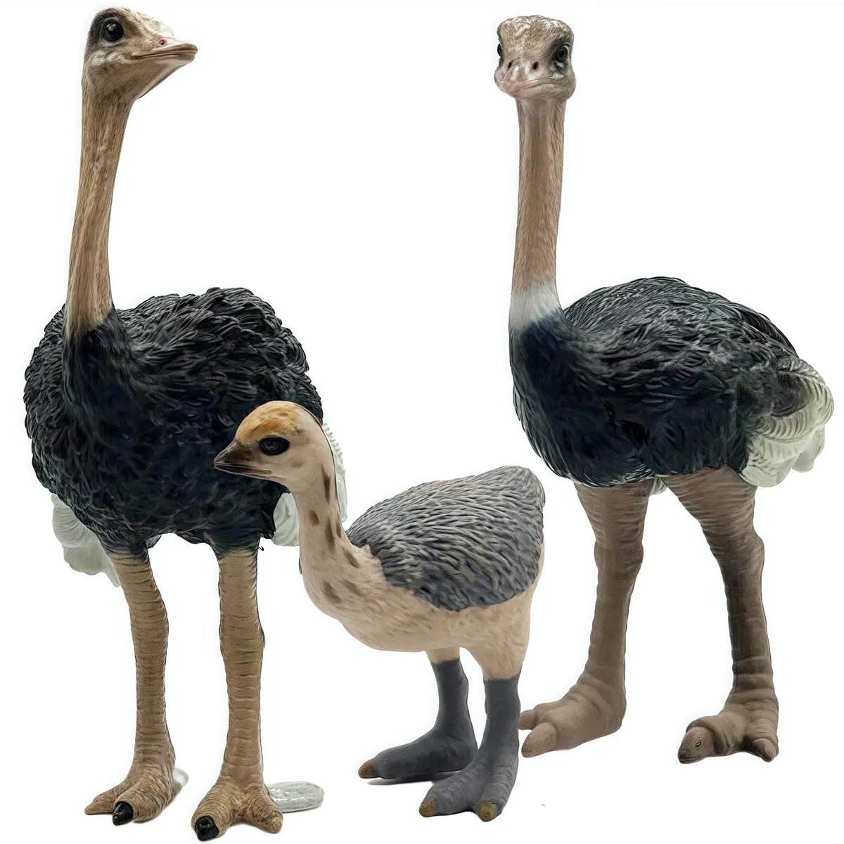 Gemini&Genius Ostrich Action Figure Toys, Jungle Animal Playset 7.6cm (3 Inch) | ASTM-Tested Non-Toxic ABS Plastic - view 5