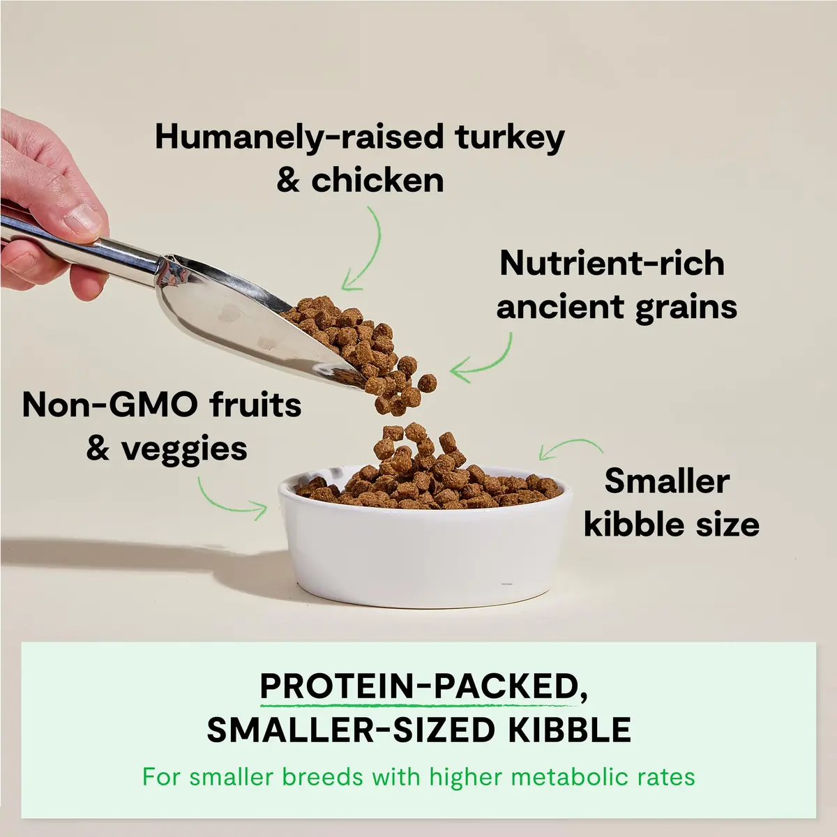 Open Farm Ancient Grains Dry Dog Food Small Breed Kibble 1.81 kg (4lb) | High Protein, Traceable Ingredients - view 2