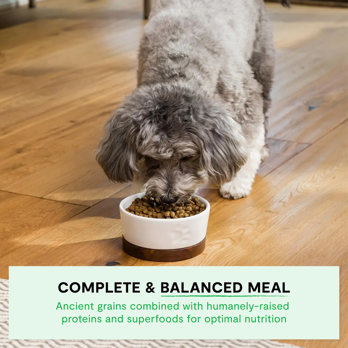Open Farm Ancient Grains Dry Dog Food Small Breed Kibble 1.81 kg (4lb) | High Protein, Traceable Ingredients - view 4