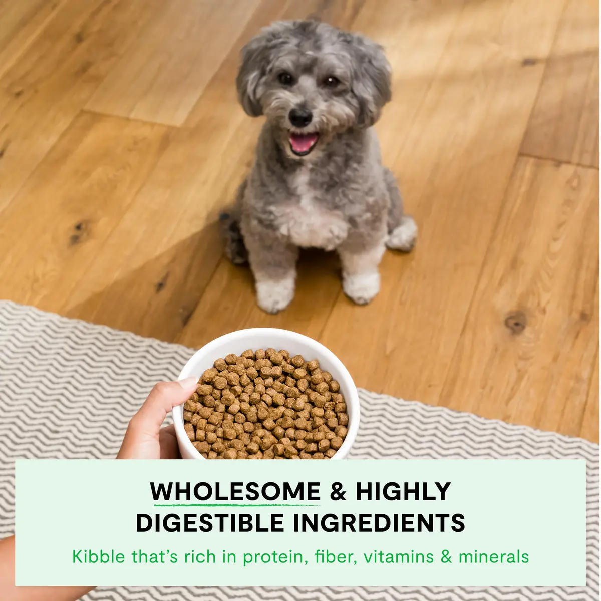 Open Farm Ancient Grains Dry Dog Food Small Breed 11 lb | Nutrient-Dense, Grain-Inclusive, Traceable - view 3