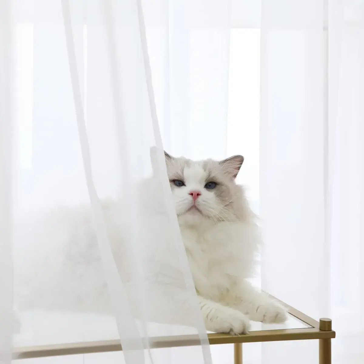 PHILEASY White Sheer Curtains 108" Long x 42" Wide - Pack of 2 | Light-Filtering Rod Pocket Panels - view 2