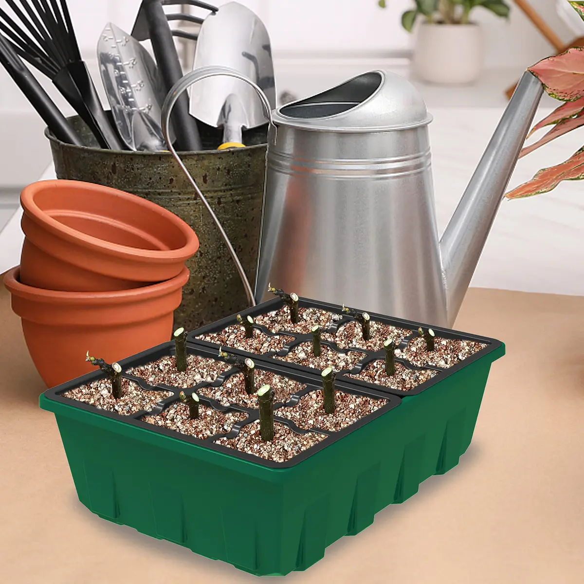 Gardzen 10 Pack Seed Starter Trays with Dome and Green Base 120 Cell | Grow Seedlings Indoors - view 6