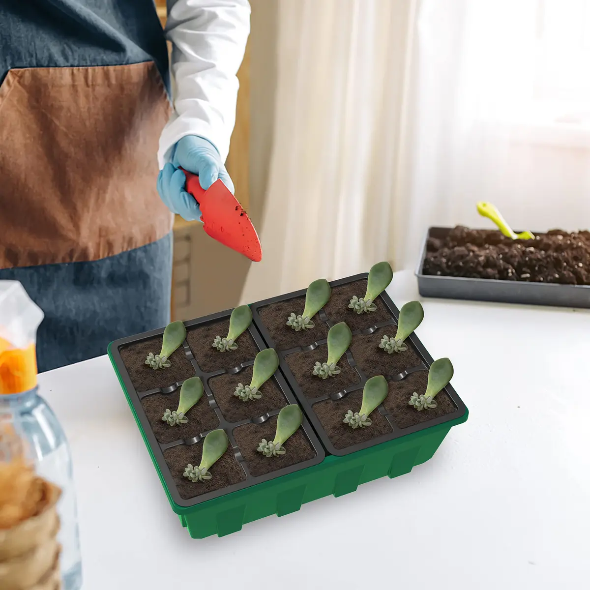 Gardzen 10 Pack Seed Starter Trays with Dome and Green Base 120 Cell | Grow Seedlings Indoors - view 7