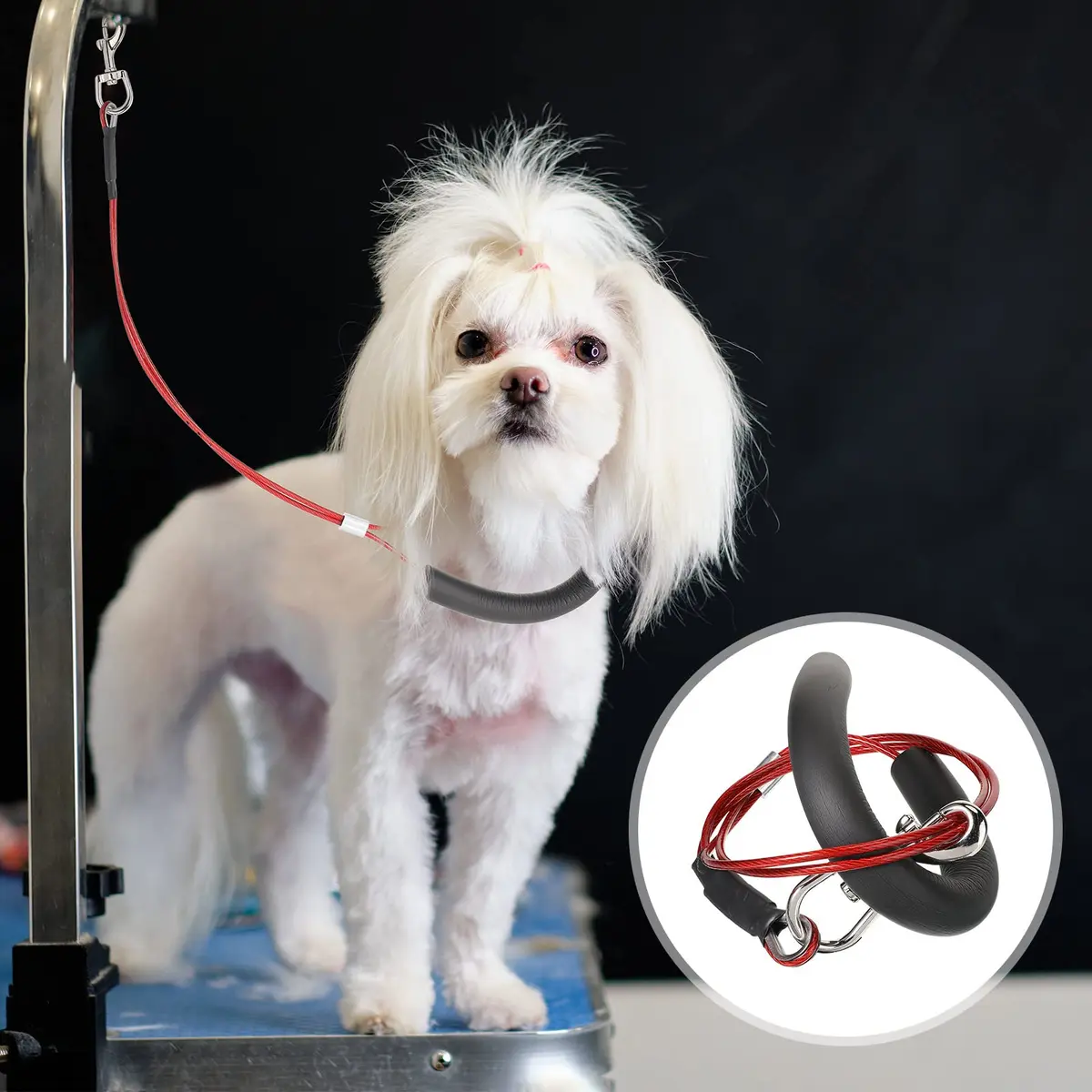 Chunful Dog Grooming Loop Noose 62cm | Waterproof Restraint Loop for Pet Bathing & Grooming - view 2