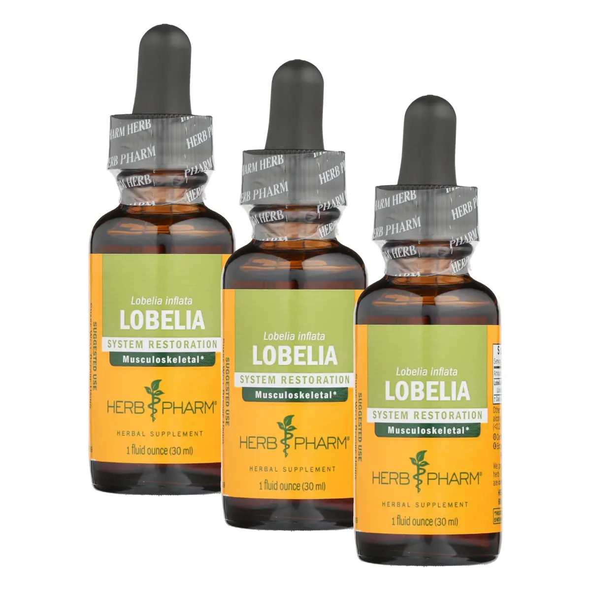 Herb Pharm Certified Organic Lobelia Liquid Extract 3 fl oz (88.7 ml) | USDA Certified Organic for Musculoskeletal Support - main product image