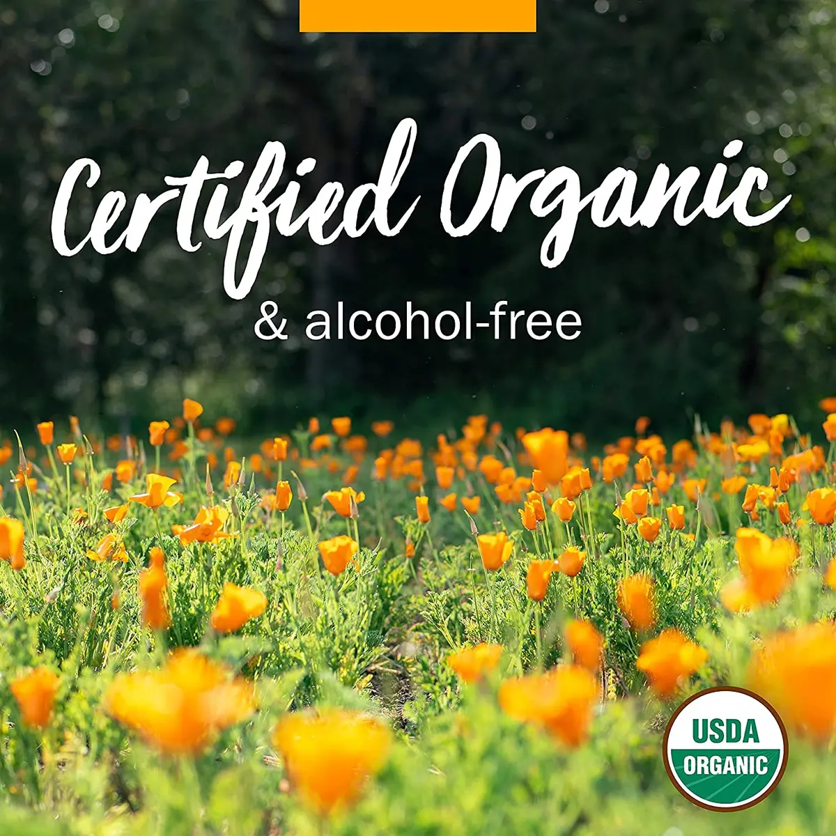Herb Pharm Certified Organic Lobelia Liquid Extract 3 fl oz (88.7 ml) | USDA Certified Organic for Musculoskeletal Support - view 5