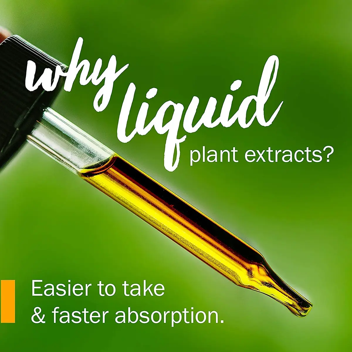 Herb Pharm Certified Organic Lobelia Liquid Extract 3 fl oz (88.7 ml) | USDA Certified Organic for Musculoskeletal Support - view 3