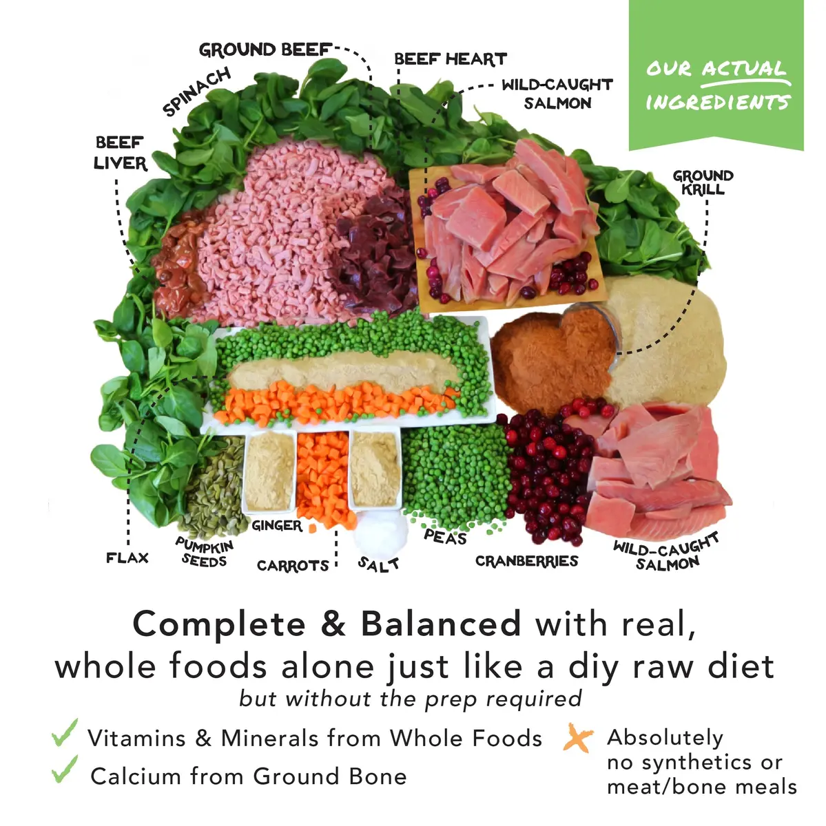 Simple Food Project - Beef & Salmon Recipe - Freeze Dried Raw Food for Dogs - 48oz | High-Quality, USA Sourced - view 6