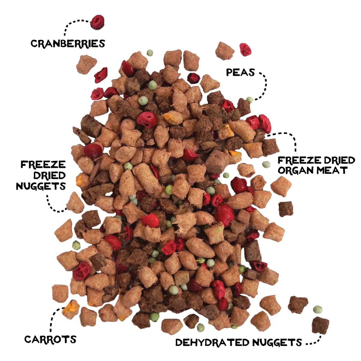 Simple Food Project - Beef & Salmon Recipe - Freeze Dried Raw Food for Dogs - 48oz | High-Quality, USA Sourced - view 3