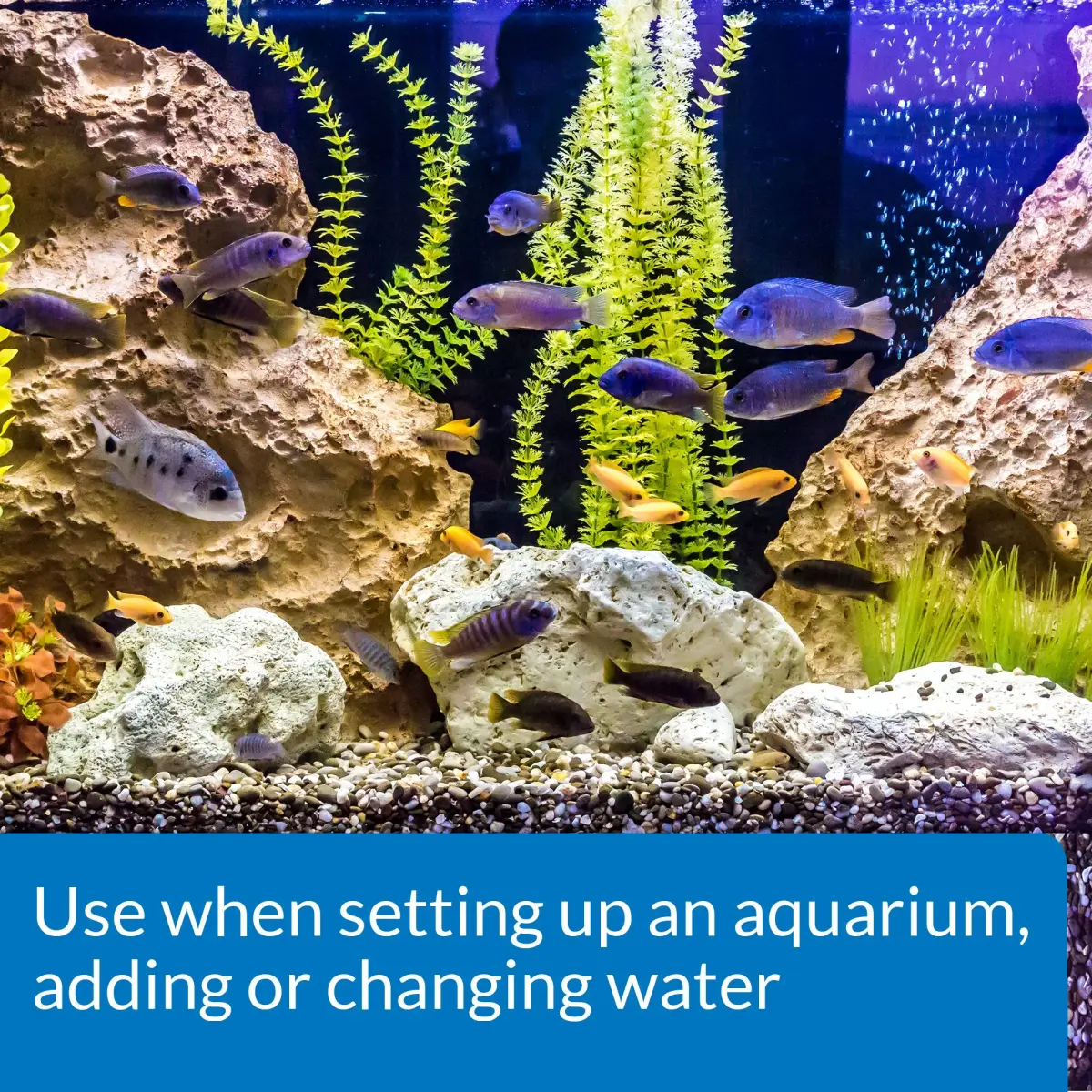 API Accu-Clear Freshwater Aquarium Water Clarifier & Tap Water Conditioner 8oz + 16oz | Clears Cloudy Water & Makes Tap Water Safe for Fish - view 6