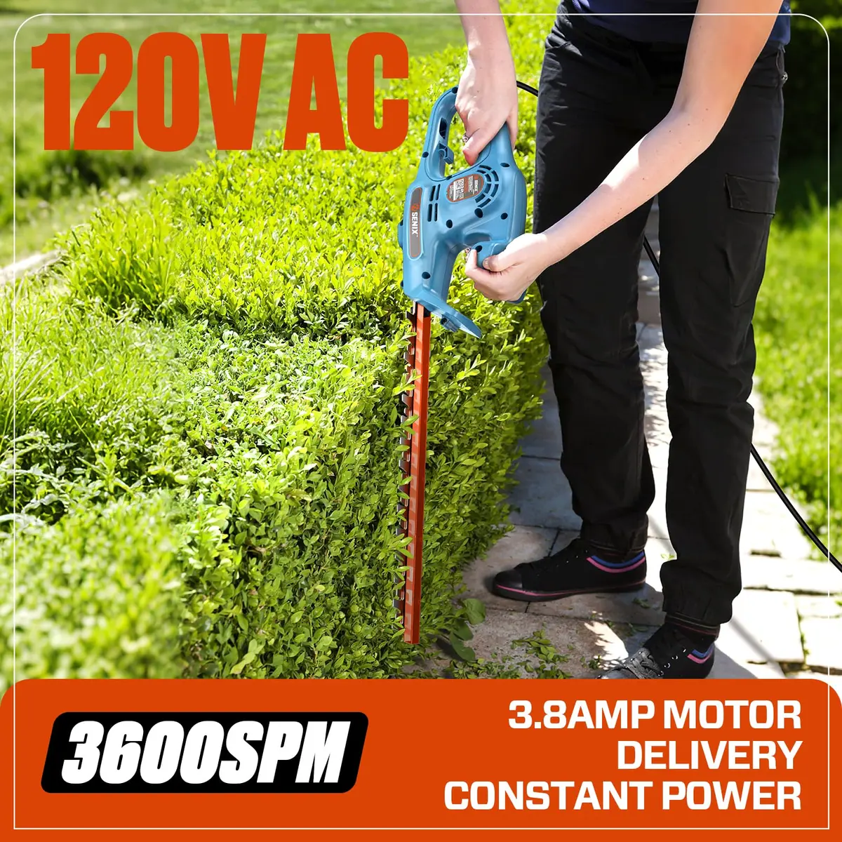 SENIX HTE3.8-L 21-Inch 120V Electric Hedge Trimmer | Precise 3/4" Cut, Alloy Steel Blades, Lightweight & Durable - view 5