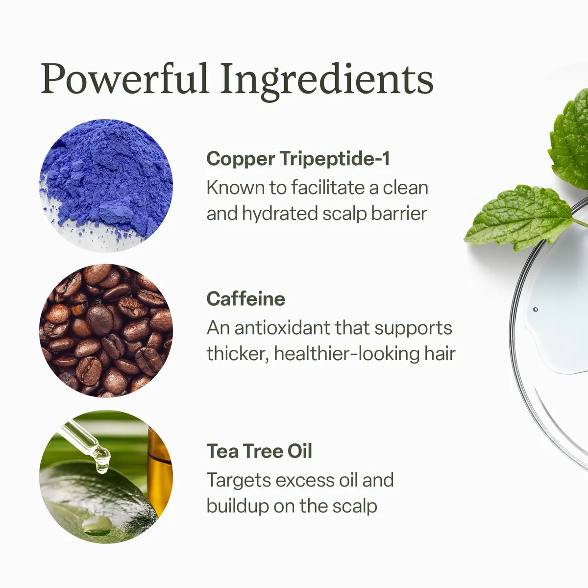 divi Scalp Serum | To Promote Fuller-Looking Hair with Peptides | 100 ml - view 6