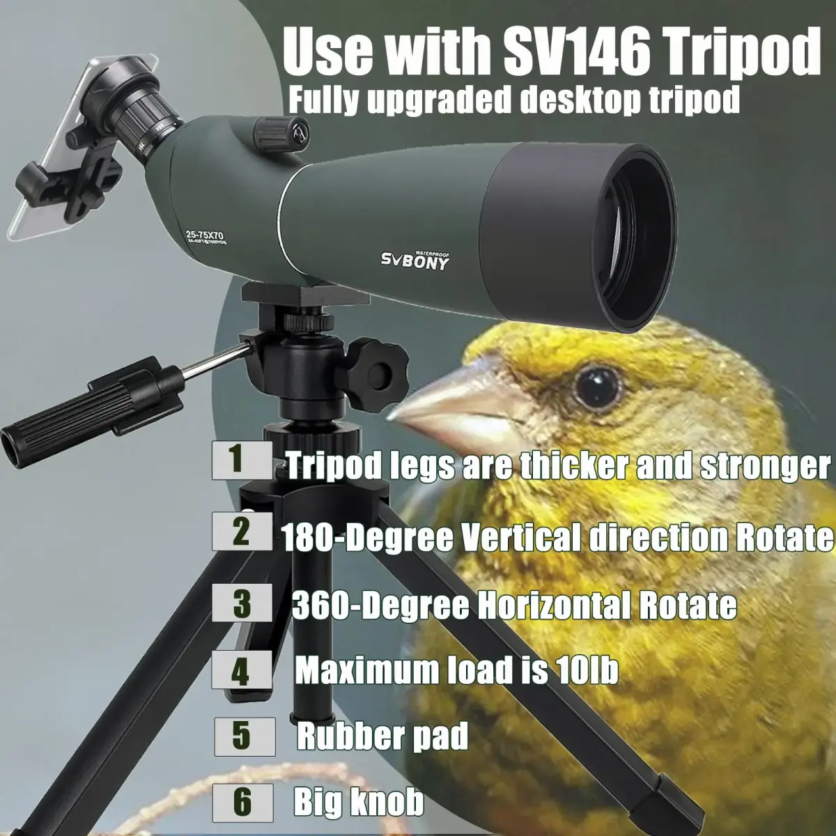 SVBONY SV28 Spotting Scope 25-75x70mm | Stable Aluminum Tripod & Phone Adapter - view 4