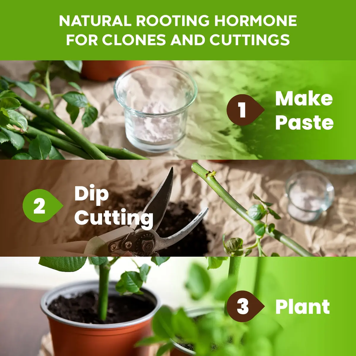 Big Foot Probiotic Root Boost Water Soluble Powder 2oz | Natural Root Growth & Nitrogen Fixation - view 5