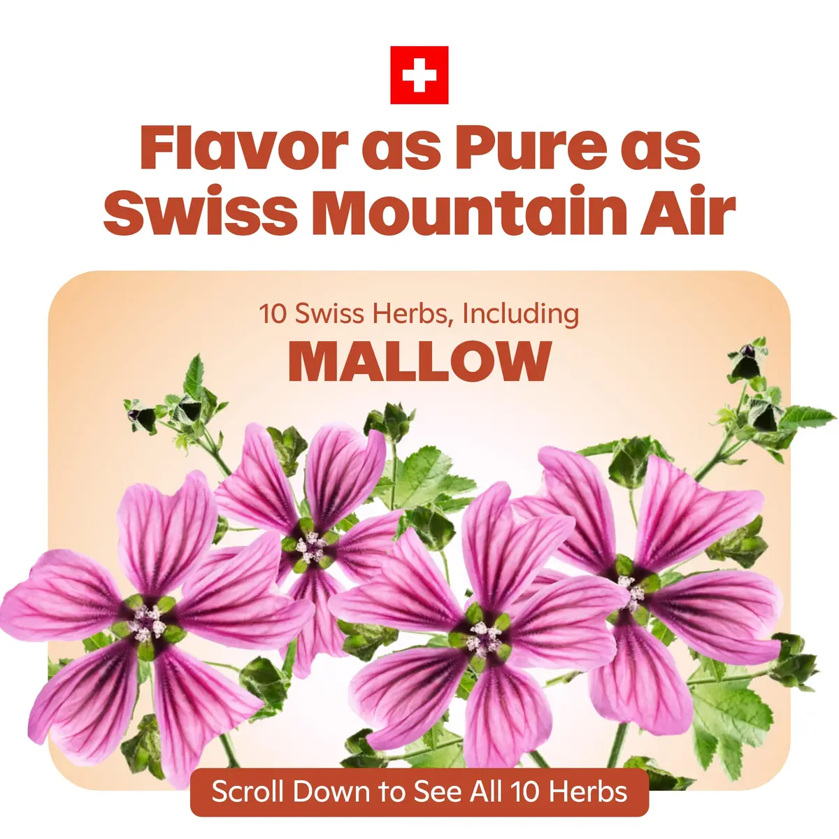 Ricola Throat Balm Caramel Flavor Herbal Throat Drops - 136 Count | Swiss Alpine Herbs & Honey Liquid Center - view 3